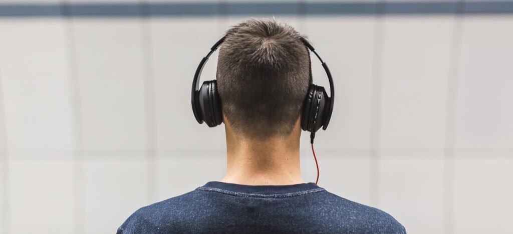 Sylvain Rouchié : Musique